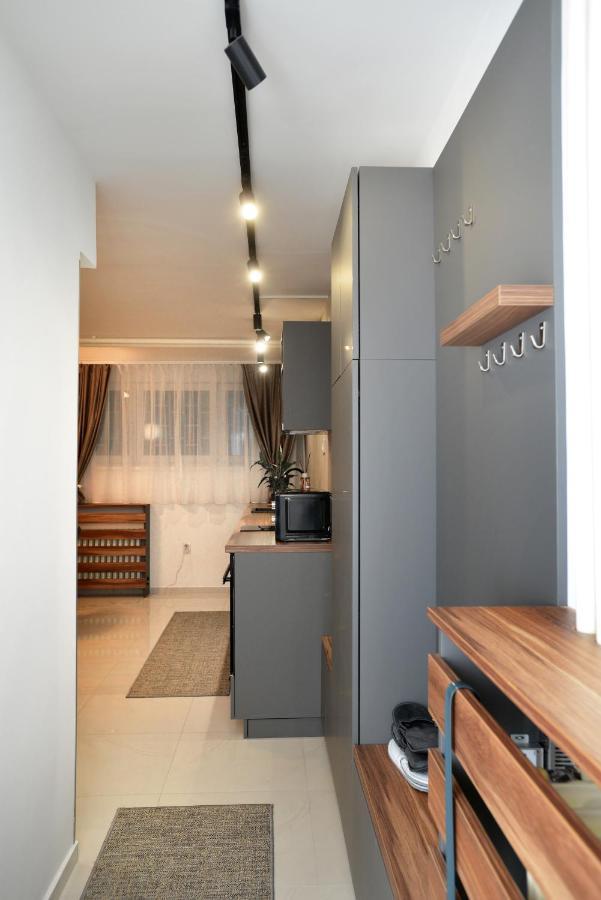 River&Bike Apartment With Free Electric Bike 贝尔格莱德 外观 照片
